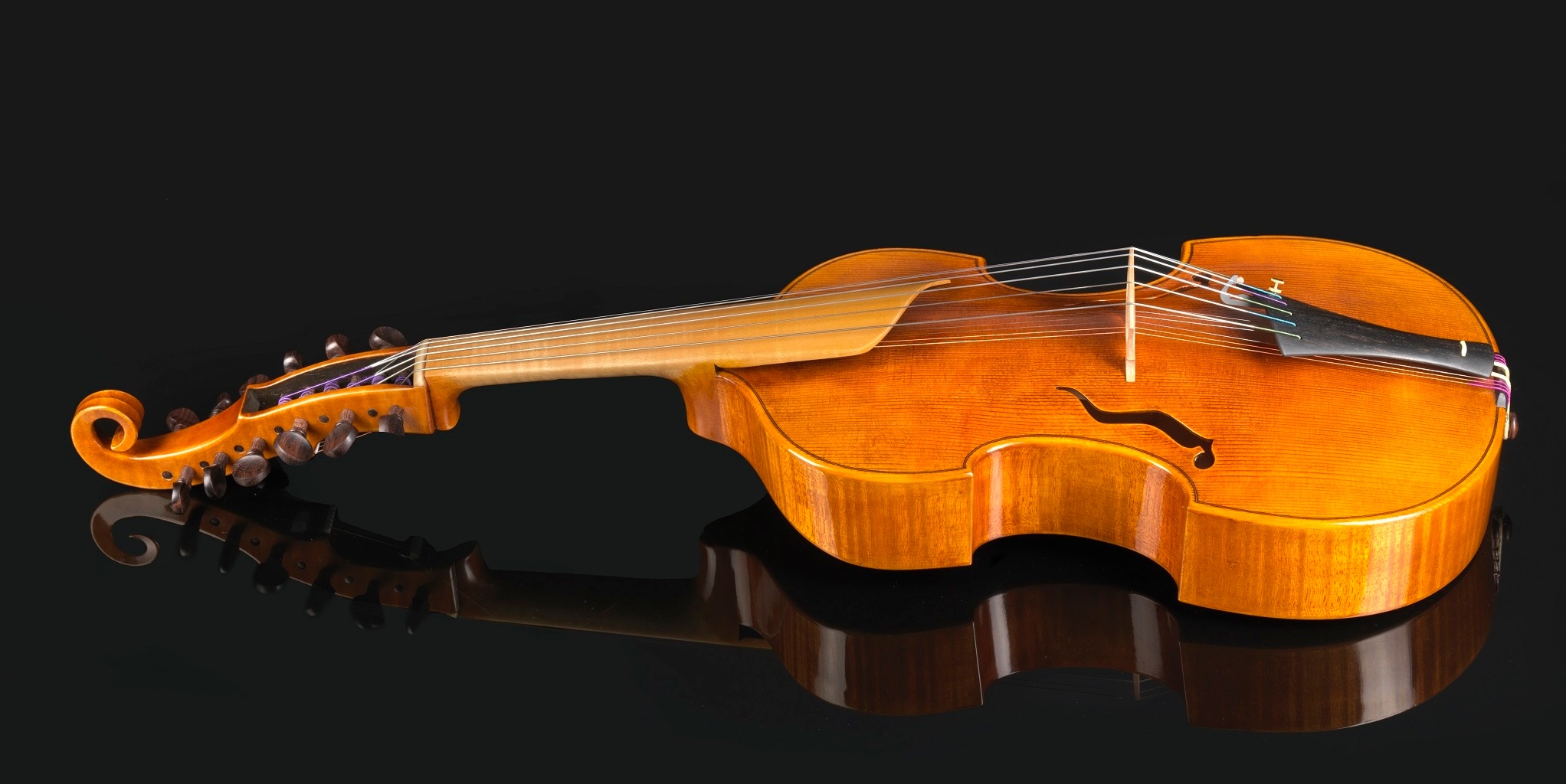 Daniel Ross 12 string viola d amore Delahousse 1